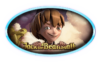 Jack and the Beanstalk